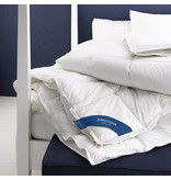 De Witte Lietaer Duvet Ducky 4 Seasons - Hotel size - 260 x 240 cm - Down filling