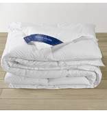 De Witte Lietaer Couette Ducky - Lits Jumeaux - 240 x 220 cm - Rembourrage en duvet