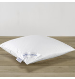 De Witte Lietaer Coussin Dream - 50 x 70 cm - Garnissage polyester