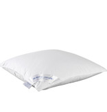 De Witte Lietaer Coussin Dream - 60 x 70 cm - Garnissage polyester