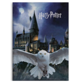 Harry Potter Couverture polaire Poudlard Hedwige - 100 x 140 cm - Polyester