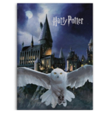 Harry Potter Fleecedecke Hogwarts Hedwig - 100 x 140 cm - Polyester