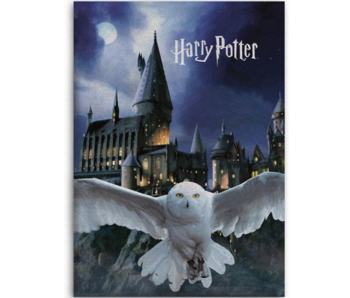 Harry Potter Couverture polaire Poudlard Hedwige 100 x 140 cm