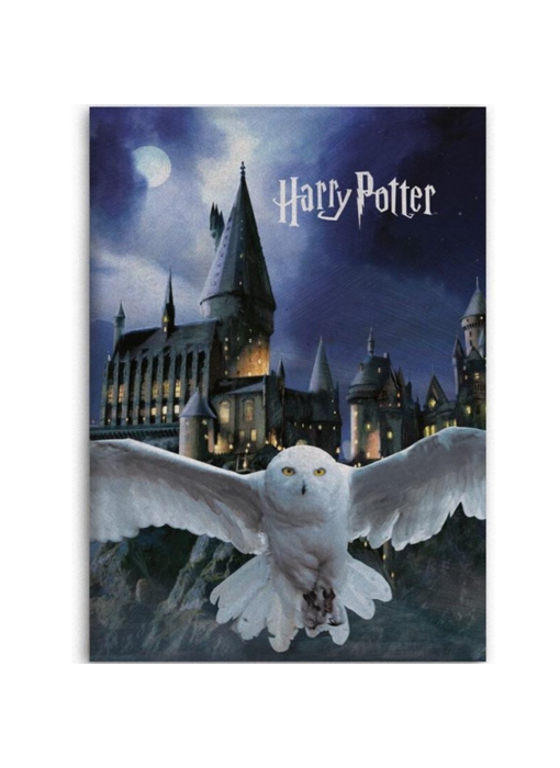 Harry Potter Fleece blanket Hogwarts Hedwig 100 x 140 cm