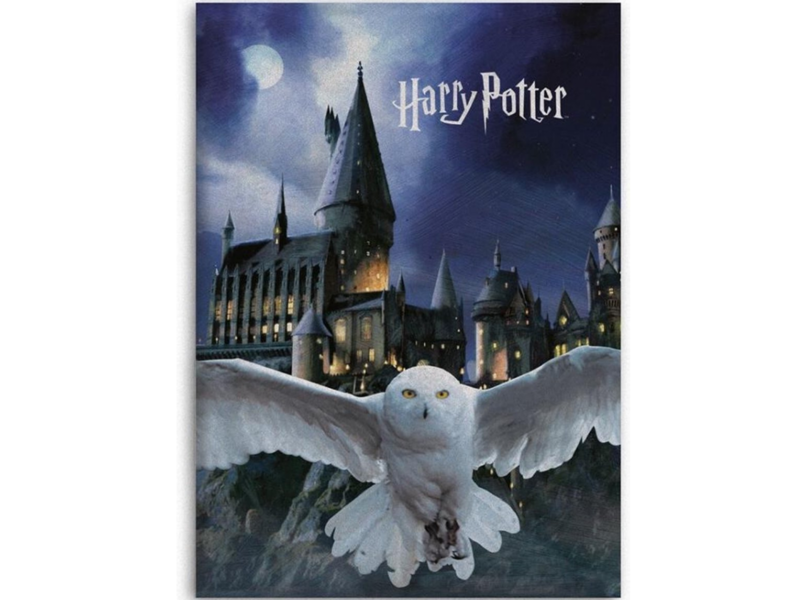 Harry Potter Couverture polaire Poudlard Hedwige - 100 x 140 cm - Polyester