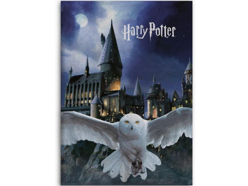 Harry Potter Fleece deken Hogwarts Hedwig - 100 x 140 cm - Polyester