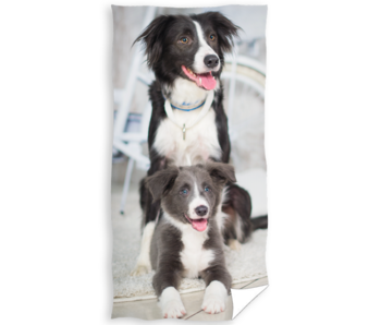 Animal Pictures Drap de plage Chiot et Chien 70 x 140 cm Coton