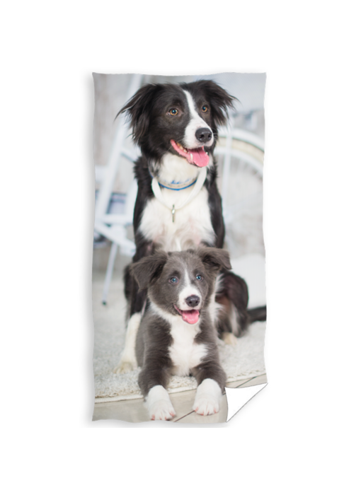 Animal Pictures Drap de plage Chiot et Chien 70 x 140 cm Coton