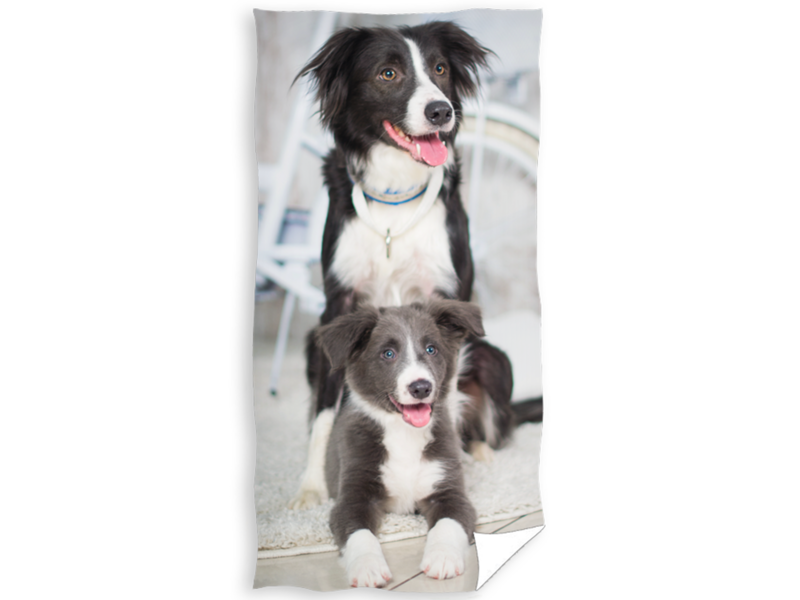 Animal Pictures Beach towel Puppy and Dog - 70 x 140 cm - Cotton