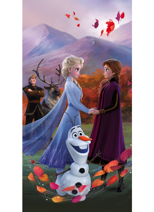 Disney Frozen Beach towel Wind 70 x 140 cm Cotton