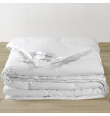 De Witte Lietaer Duvet Dream - Format hôtel - 260 x 240 cm - Garnissage polyester
