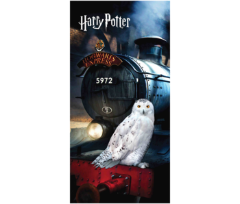 Harry Potter Beach towel Hedwig 70 x 140 cm Cotton