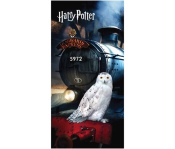 Harry Potter Strandtuch Hedwig 70 x 140 cm Baumwolle