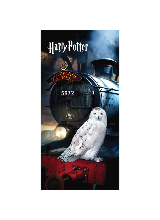 Harry Potter Beach towel Hedwig 70 x 140 cm Cotton