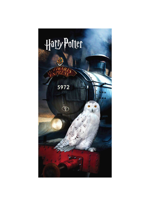 Harry Potter Serviette de plage Hedwige 70 x 140 cm Coton