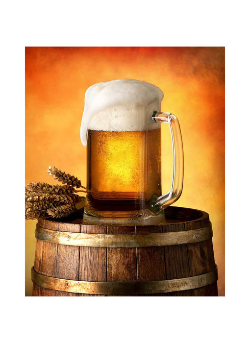 Bier Fleecedecke Bierkrug 120 x 150 cm