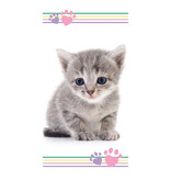 Animal Pictures Beach towel Kitten - 70 x 140 cm - Cotton