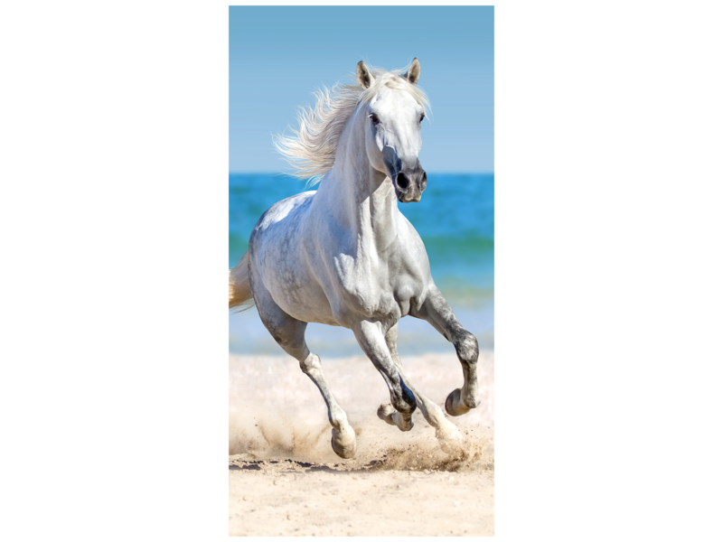 Animal Pictures Beach towel Horse - 70 x 140 cm - Cotton