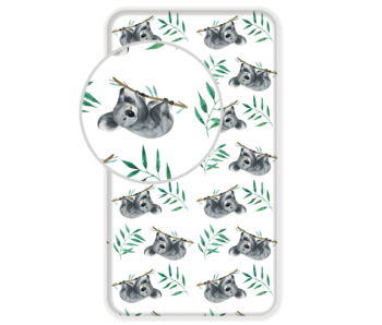 Animal Pictures Fitted sheet Koala 90 x 200 cm Cotton