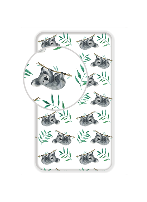 Animal Pictures Fitted sheet Koala 90 x 200 cm Cotton