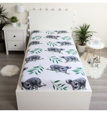 Animal Pictures Fitted sheet Koala - Single - 90 x 200 cm - Cotton