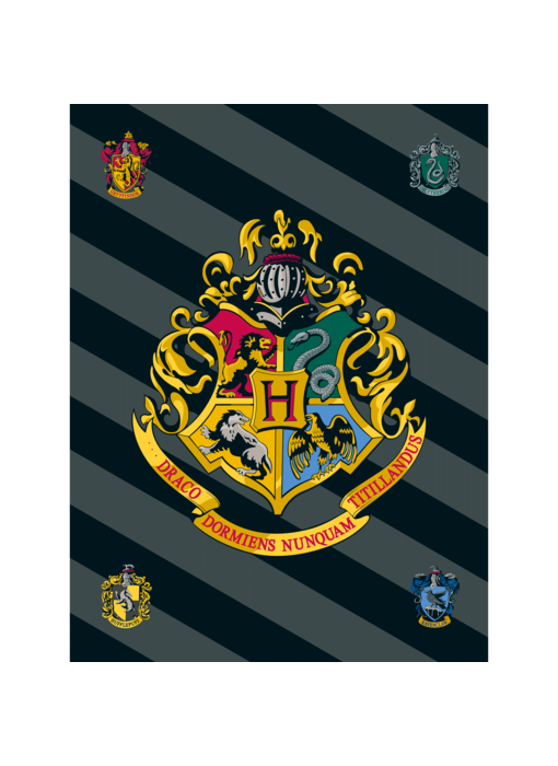 Harry Potter Couverture polaire Logo 100 x 150 cm Polyester