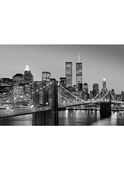 Fotobehang Manhattan Skyline bei Nacht Poster XXL 175x115cm