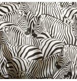 De Witte Lietaer Bettbezug Zebra Eggshell – Single – 140 x 200/220 cm – Baumwollsatin