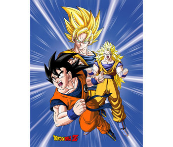 Dragon Ball Z Fleecedeken Son Goku 130 x 170 cm