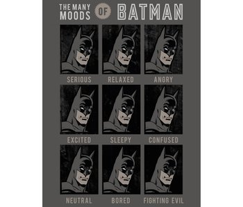 Batman Fleecedecke Mood 130 x 170 cm Polyester