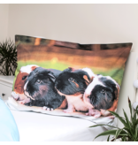 Animal Pictures Bettbezug, Meerschweinchen – Einzelbett – 140 x 200 cm – Baumwolle