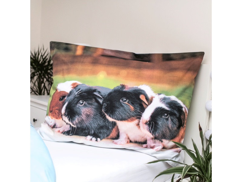 Animal Pictures Bettbezug, Meerschweinchen – Einzelbett – 140 x 200 cm – Baumwolle