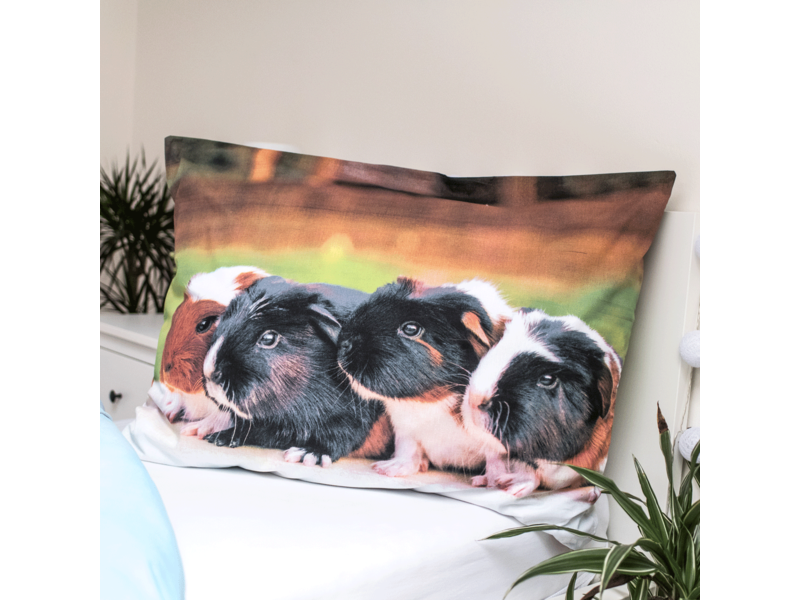 Animal Pictures Duvet cover, Guinea pig - Single - 140 x 200 cm - Cotton