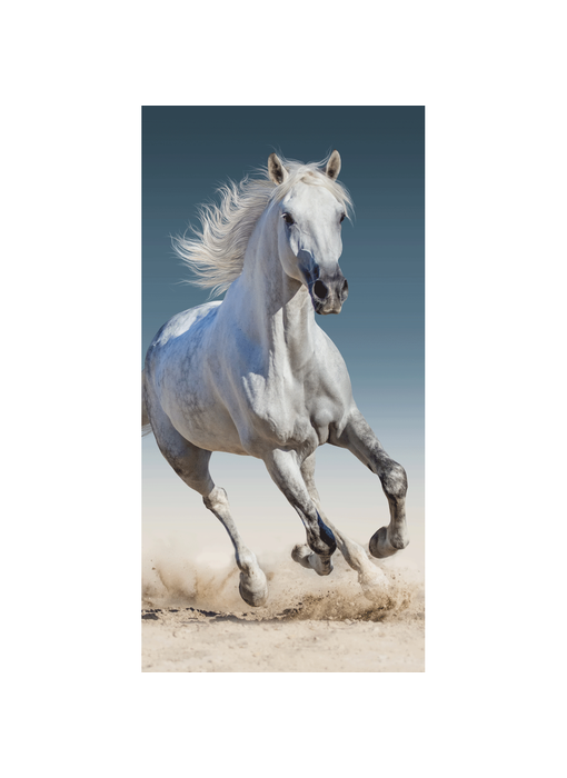 Animal Pictures Serviette de plage Cheval 70 x 140 cm Coton