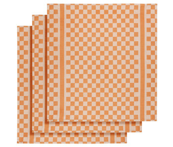 De Witte Lietaer Theedoek Groom-A Oranje 3 stuks 65 x 70 cm