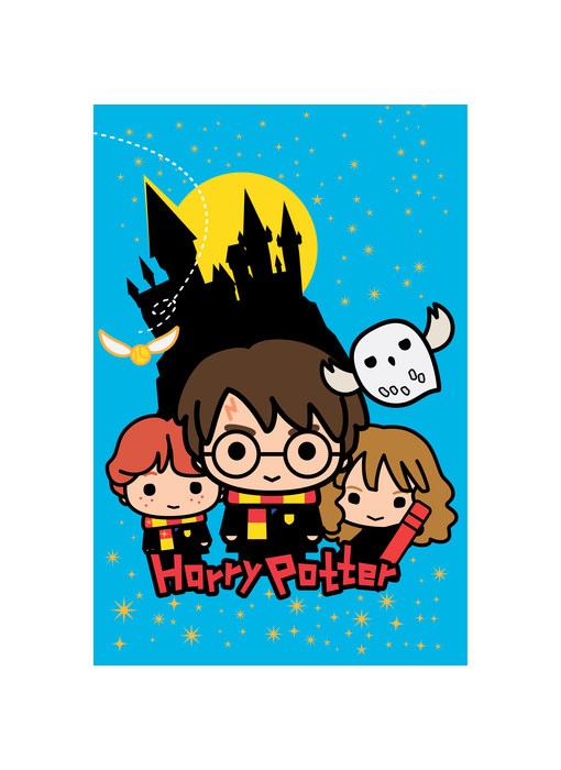 Harry Potter Couverture Polaire Poudlard 100 x 150 cm Polyester