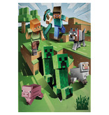 Minecraft Fleece Deken Cave Escape - 100 x 150 cm - Polyester