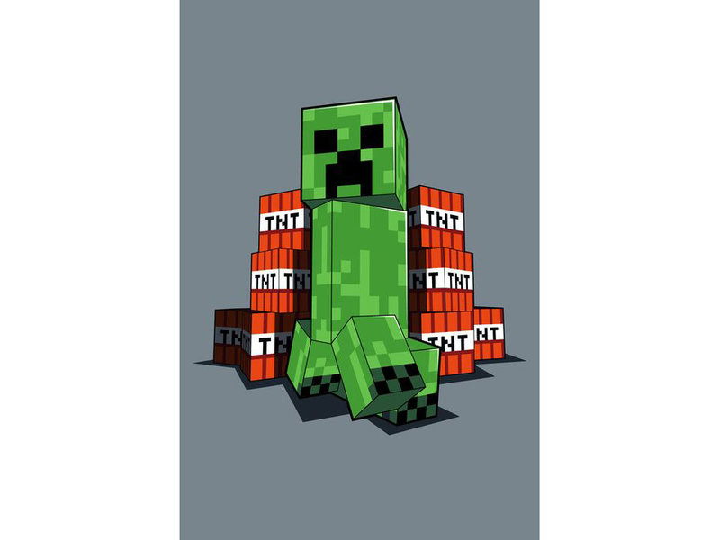 Minecraft Couverture polaire Creeper - 110 x 140 cm - Polyester