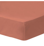 Matt & Rose Drap housse Terracotta - Double - 160 x 190/200 cm - Coton lavé