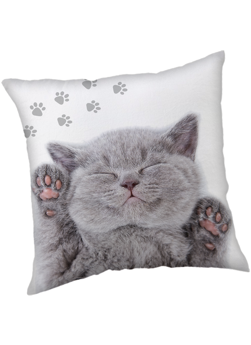 Animal Pictures Coussin décoratif Chaton 40 x 40 cm Polyester