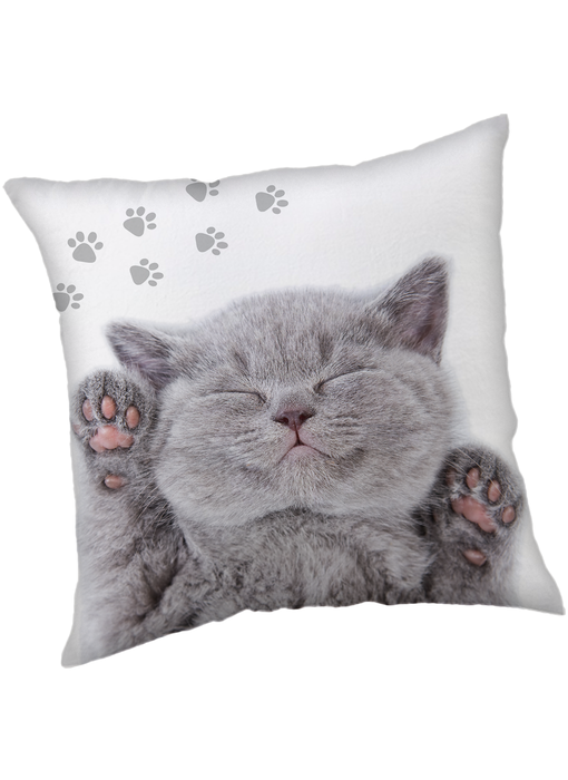 Animal Pictures Decorative pillow Kitten 40 x 40 cm Polyester