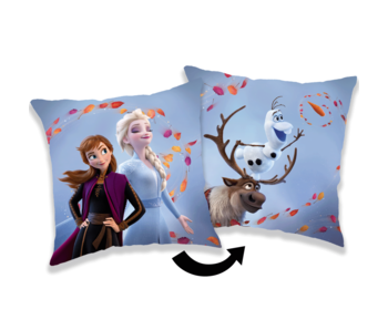 Disney Frozen Decorative cushion Wind 35 x 35 cm