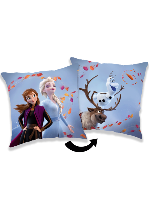 Disney Frozen Coussin décoratif Wind 35 x 35 cm