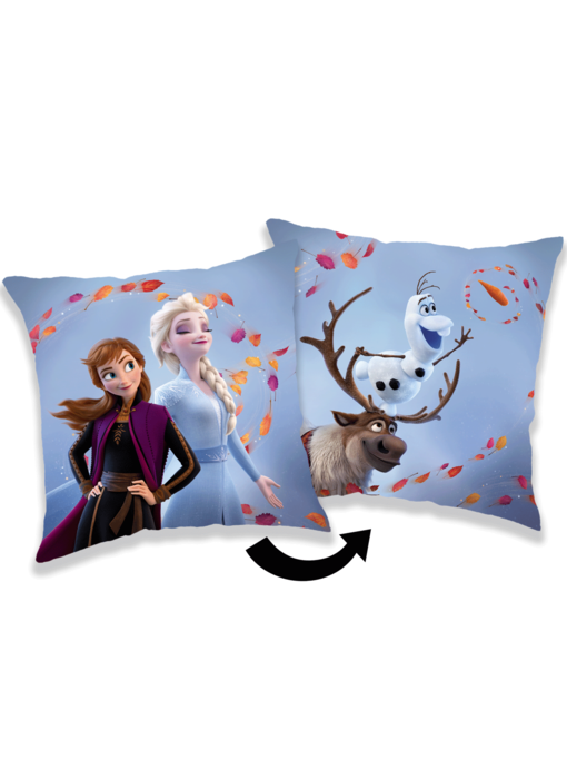 Disney Frozen Decorative cushion Wind 35 x 35 cm