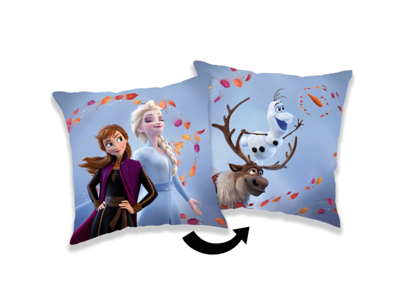 Disney Frozen Sierkussen Wind - 35 x 35 cm  - Polyester