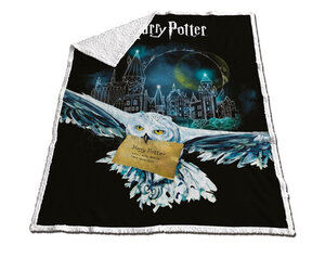 Polaire Harry Potter 110 x 150 cm - Polyester 