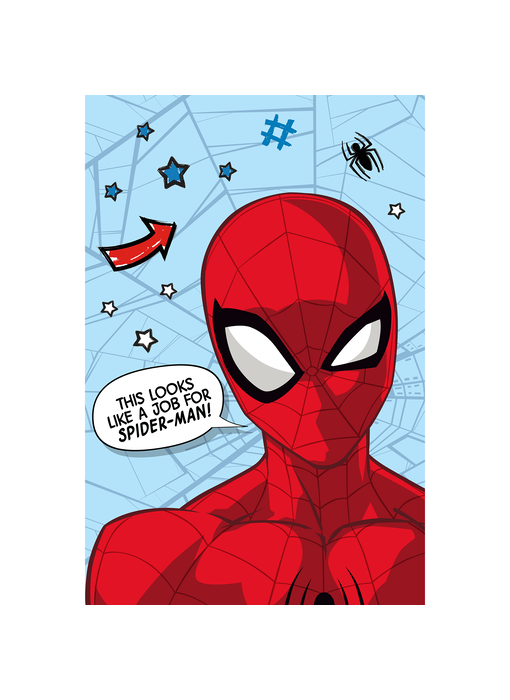 SpiderMan Fleece-Plaid Web 100 x 150 cm Polyester