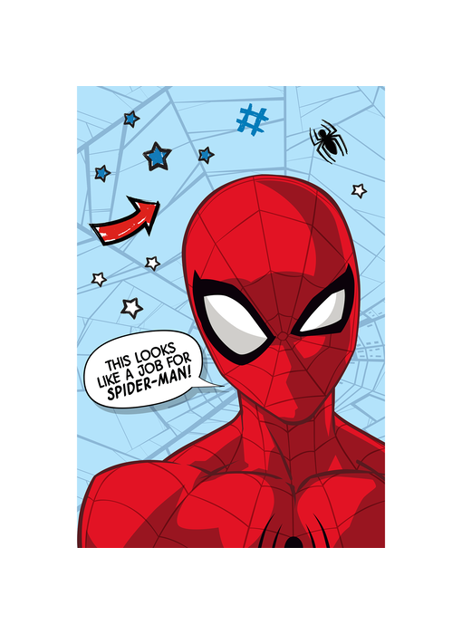 SpiderMan Fleeceplaid Web 100 x 150 cm Polyester