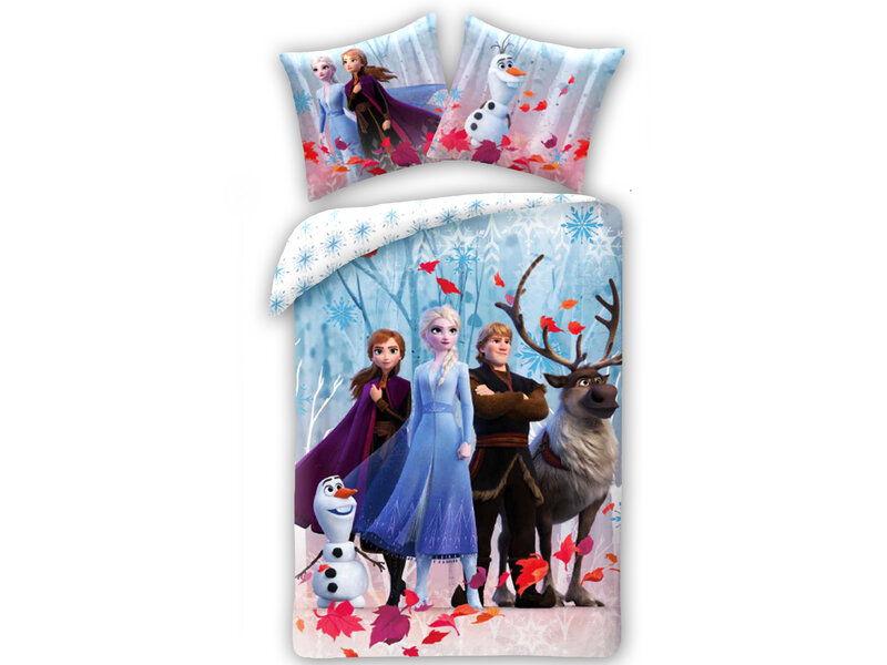 Disney Frozen Housse de couette, Arendelle - Simple - 140 x 200 cm - Coton