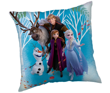 Disney Frozen Coussin décoratif Famille 40 x 40 cm Polyester